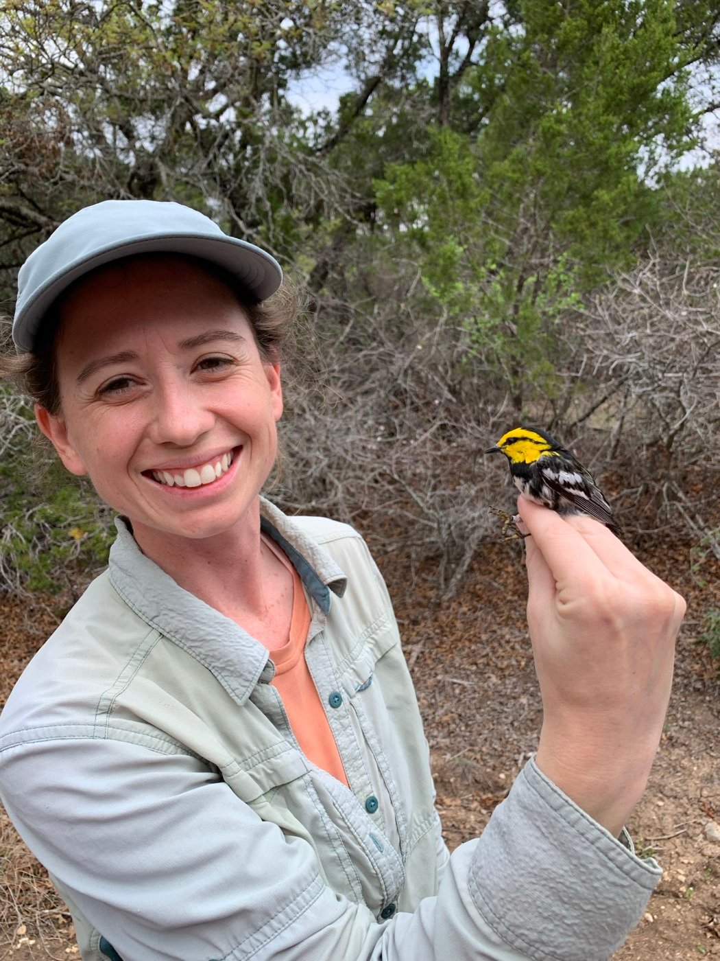Elizabeth Hingle in oak-juniper woodland holding a golden-cheeked warbler in a bander's grip.